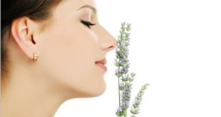 Lanolina to składnik kremu, który zadba o ujędrnienie i nawilżenie Twojej cery.