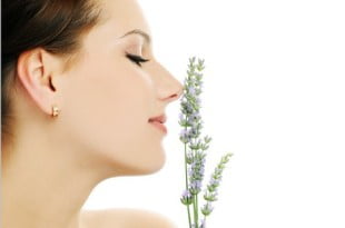 Lanolina to składnik kremu, który zadba o ujędrnienie i nawilżenie Twojej cery.