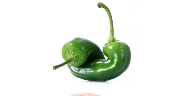 Jest to zdecydowanie jedna z bezpieczniejszych diet.