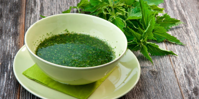 Pokrzywa - niby chwast, a działa doskonale na Twój organizm.