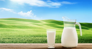 Mleko roślinne nie zawiera konserwantów, ani sztucznych barwników
