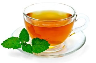 melisa lekarska ma znane właściwości juzo d starożytności