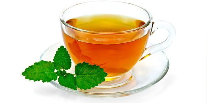 melisa lekarska ma znane właściwości juzo d starożytności