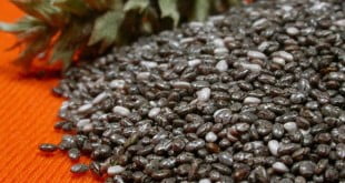 Opis leczniczych właściwości nasion chia