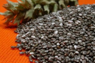 Opis leczniczych właściwości nasion chia