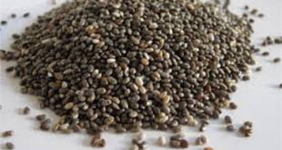 Nasiona Chia to świetna rzecz, która uzupełni Twoją dietę.