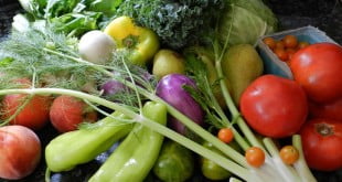 prawdy i mity o wegetarianizmie