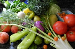 prawdy i mity o wegetarianizmie