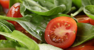 Przepisy, które na pewno pokochasz!