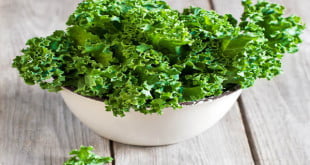 Idealne potrawy dla naszych organizmów