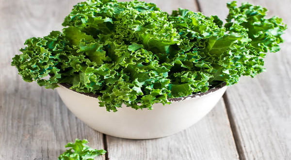 Idealne potrawy dla naszych organizmów