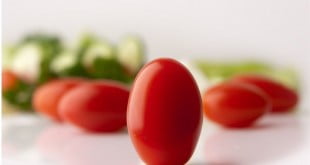 jak schudnąć? O czym pamiętać?