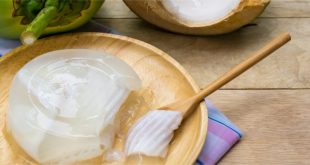 żelatyna roślinna agar-agar