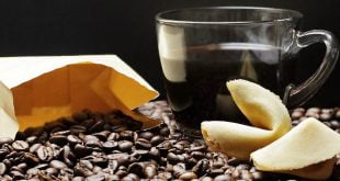 Jaki wpływ na środowisko mają ekoopakowania?