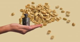 Jaki wpływ na nadwagę i odchudzanie ma zielona kawa?