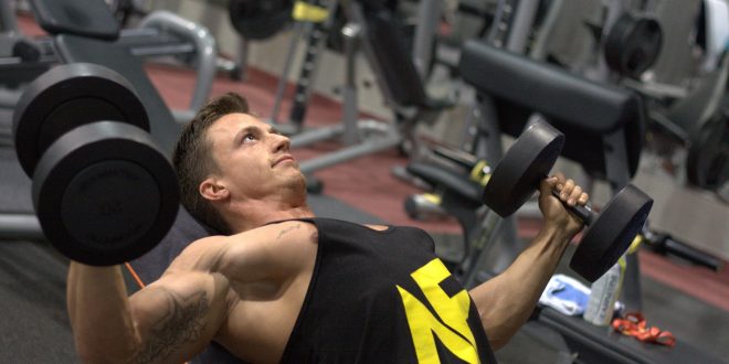 Jak działają aminokwasy proste