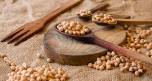 Ciecierzyca. Co to takiego?