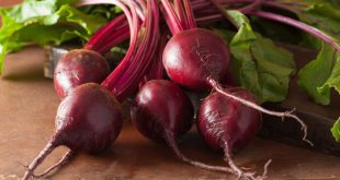 Rzodkiewka jest źródłem witamin przez cały rok.