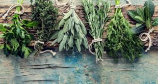 Jakie zioła odchudzające są najlepsze?