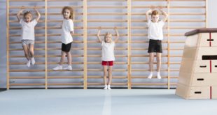 Jaki sprzęt sportowy na siłownię wybrać w szkole?