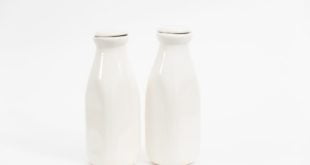 Po co nam białko w diecie?