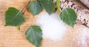 Wegański piernik z pomidorami jak zrobić