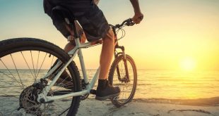 Orbitrek czy rower. Co najlepiej wybrać?