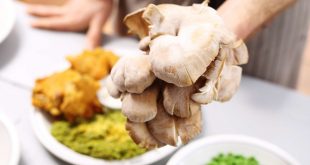 Ciekawa dieta lekksotrawna.