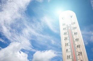 Klimatyzator przenośny czy wiatrak? Co najlepiej poradzi sobie z upałem.