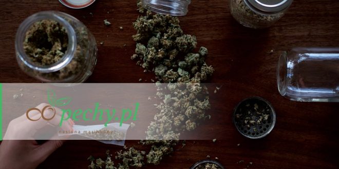 Gotowanie z cannabis.