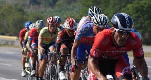 Rękawiczki rowerowe damskie i męskie