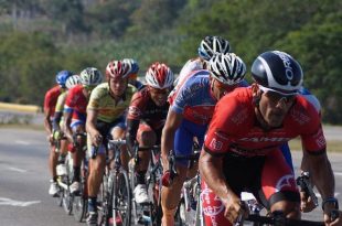 Rękawiczki rowerowe damskie i męskie