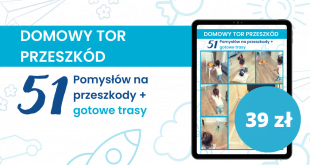 pomysły na tor przeszkód i gotowe trasy