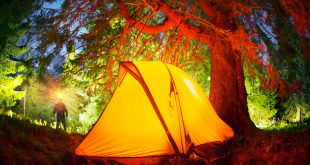 co warto zabrać na biwak