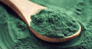 Algi morskie jakie najzdrowsze