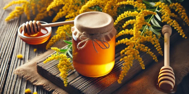 miód z nawłoci